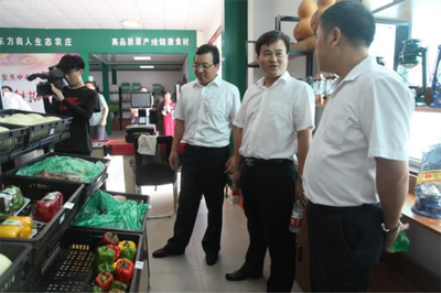 携手共谋绿色未来 湖南泸溪县政府考察团深入刁镇调研石墨烯地暖研发新进展